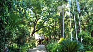 A pathway through a lush garden with various plants and a thatched-roof structure in the distance. - Cresta Marang Gardens (Francistown)