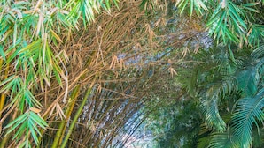 Bahagian luar