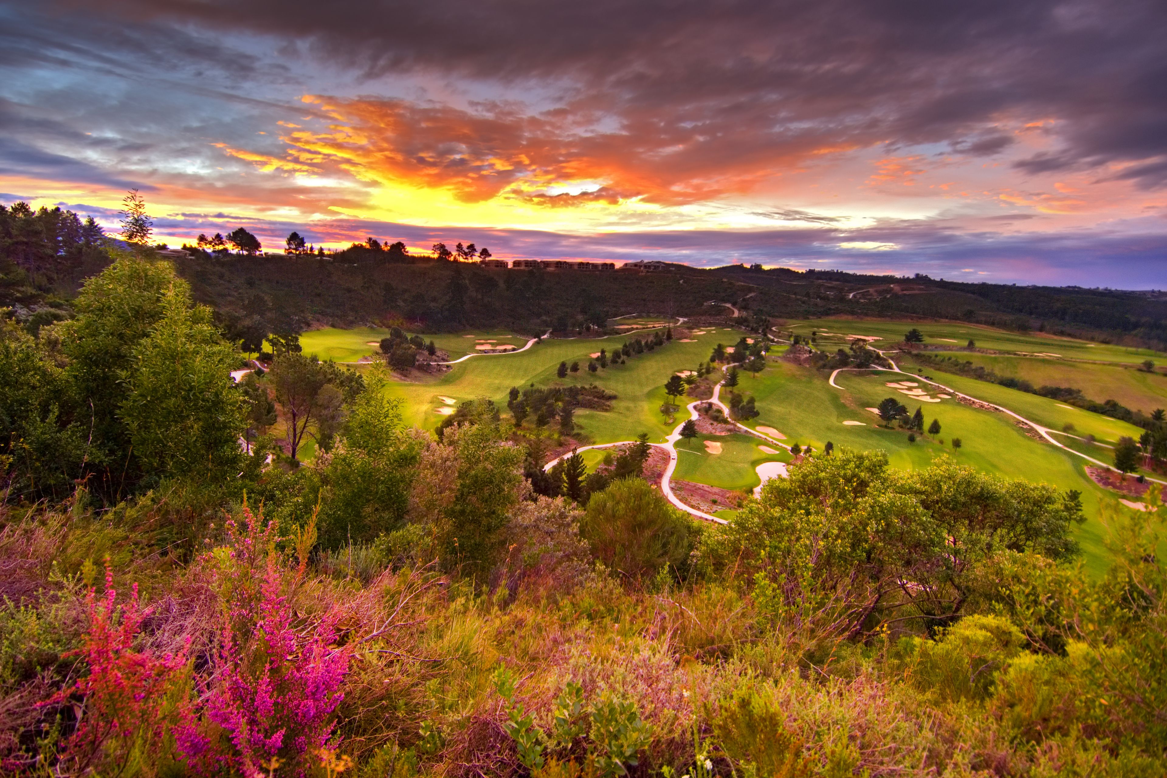Un campo de golf con un sendero serpenteante, rodeado de abundante vegetación y árboles.