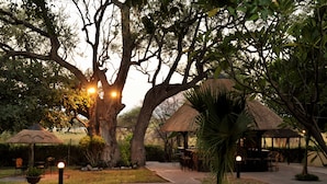 A serene outdoor dining area with thatched-roof structures, surrounded by lush greenery and large trees.
