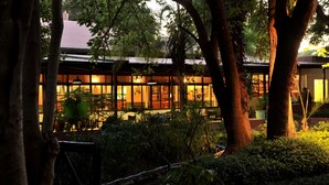 A building with large windows, surrounded by trees and greenery.