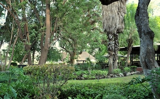 Jardín