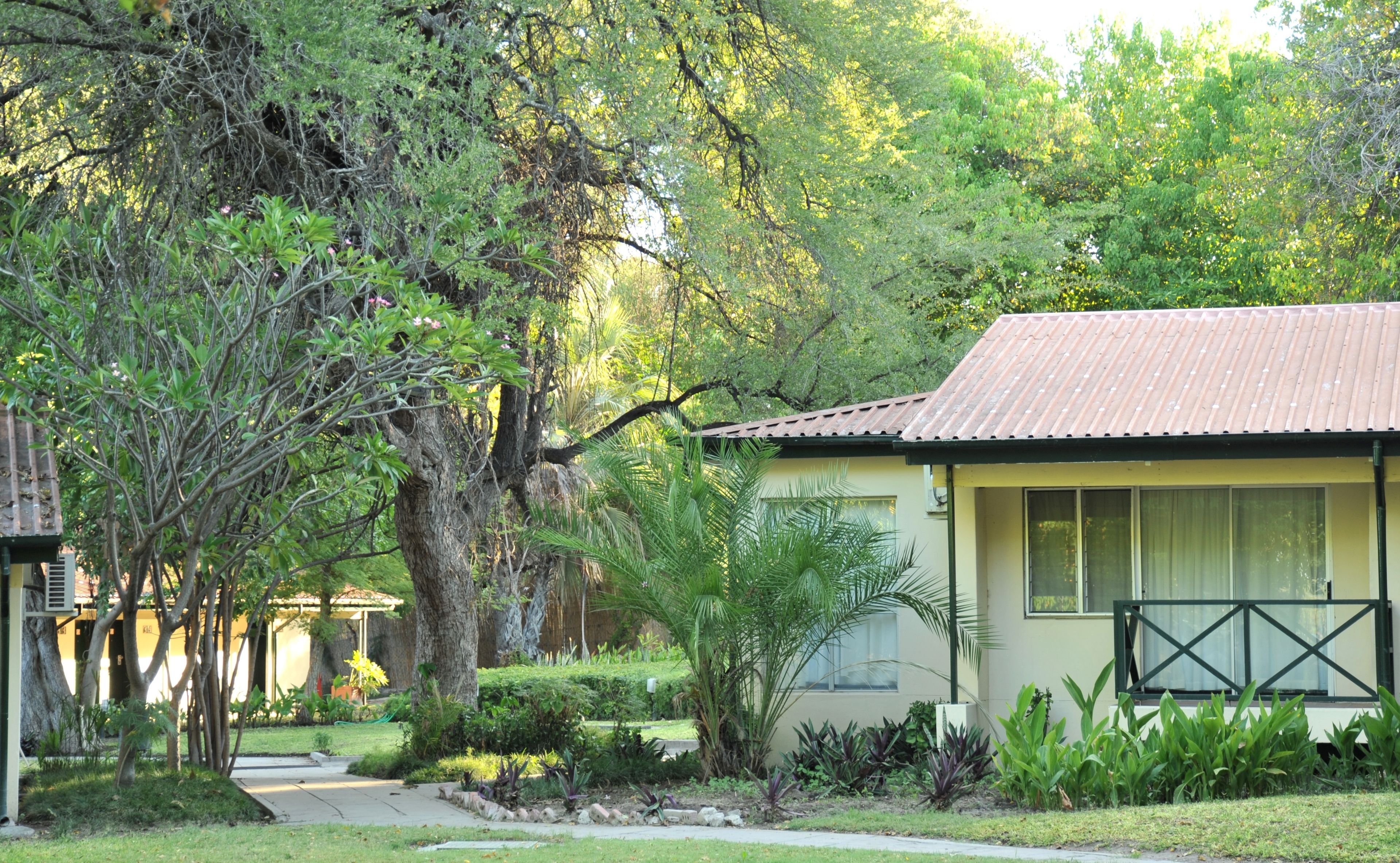 A single-story building with a tiled roof, surrounded by lush greenery and trees.