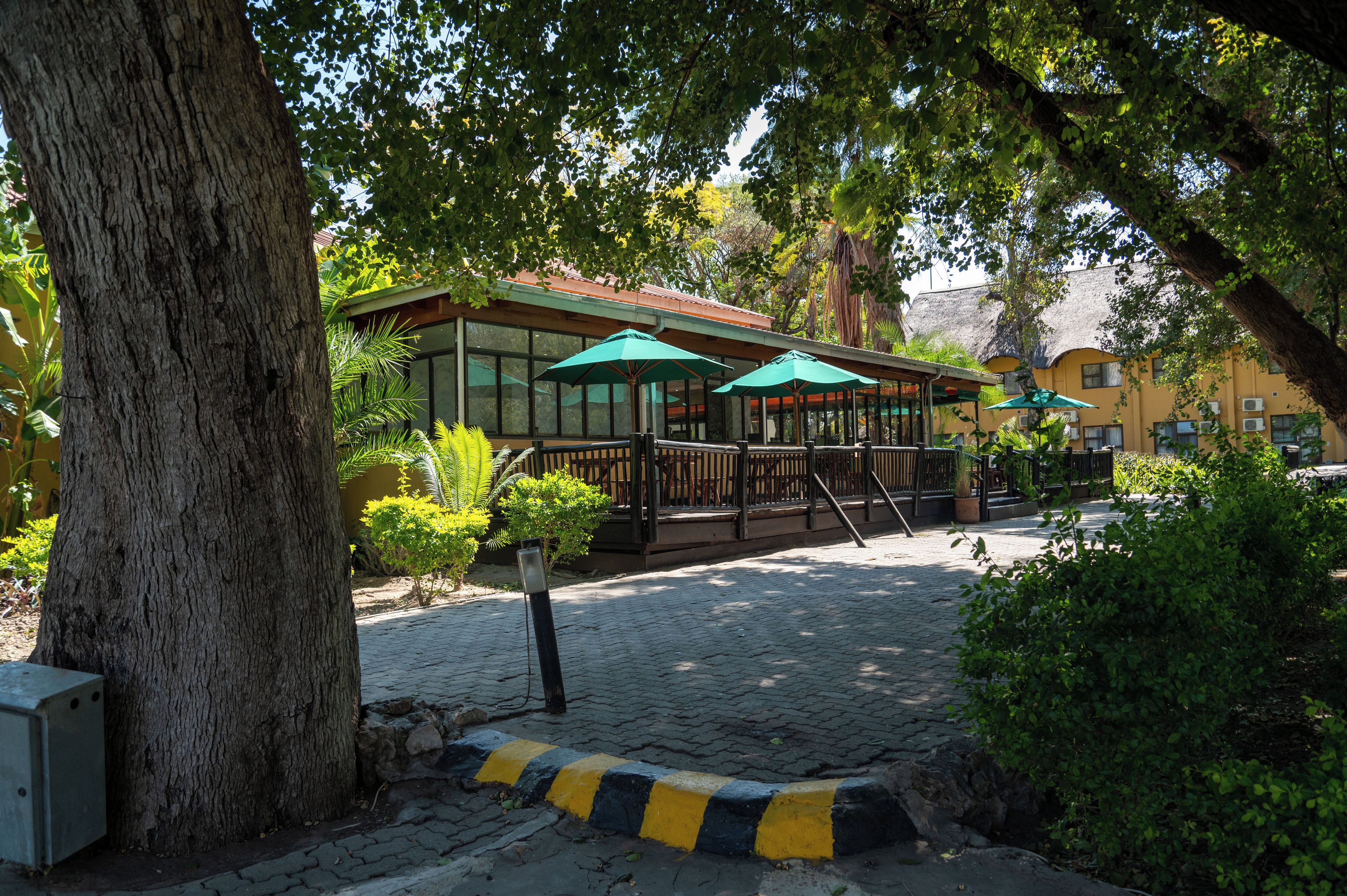 An outdoor seating area with tables and umbrellas, surrounded by trees and a building with large windows.