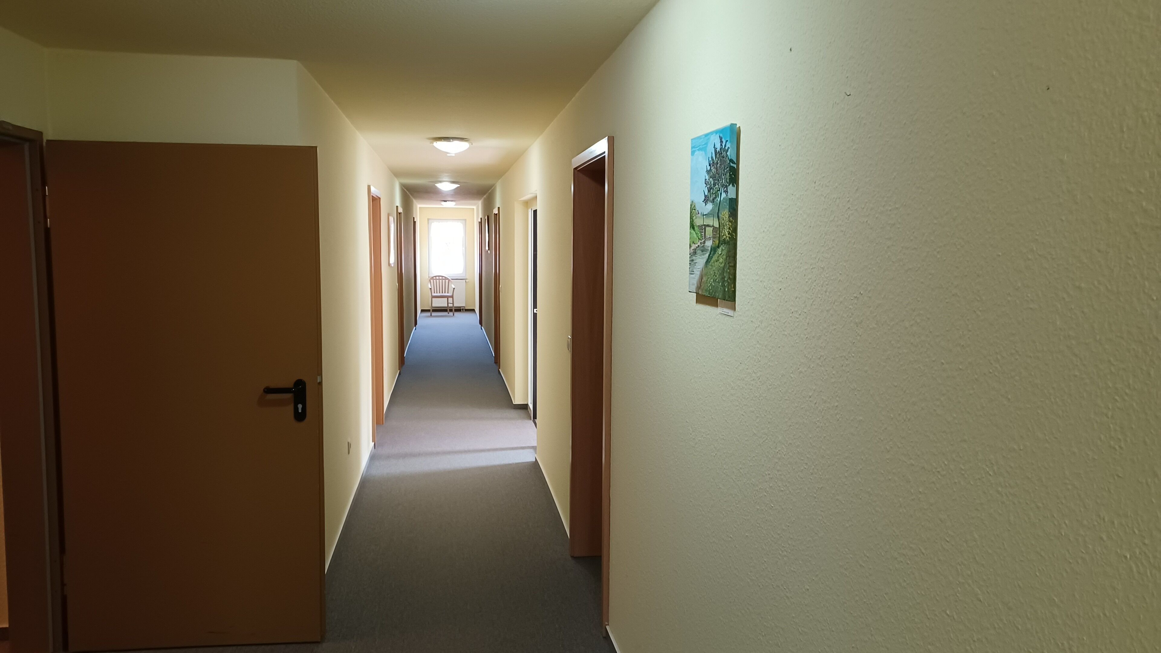 A hallway with doors on both sides, a carpeted floor, and a painting on the wall.