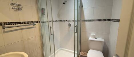 A modern bathroom with a glass shower enclosure, a white toilet, and a sink.