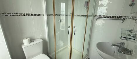 Un baño con ducha envuelta en vidrio, un inodoro y un lavamanos.