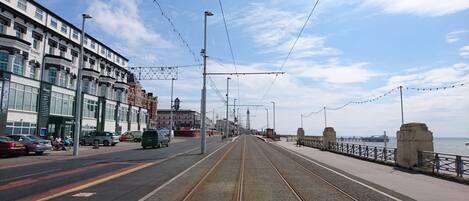A tramway with overhead wires, a waterfront promenade, and buildings with signage.