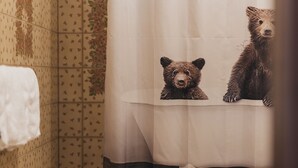 A bathroom with a bathtub, a white towel hanging on the wall, and a shower curtain. - Hotel Garni Bären (Feldkirch)