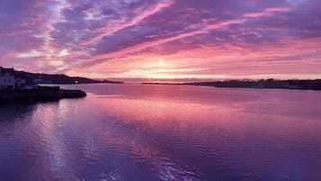 Individually decorated, individually furnished, iron/ironing board