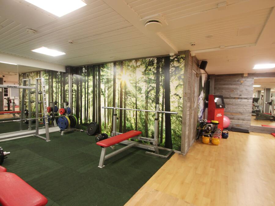 A gym with weightlifting equipment, a bench, and a mirror.