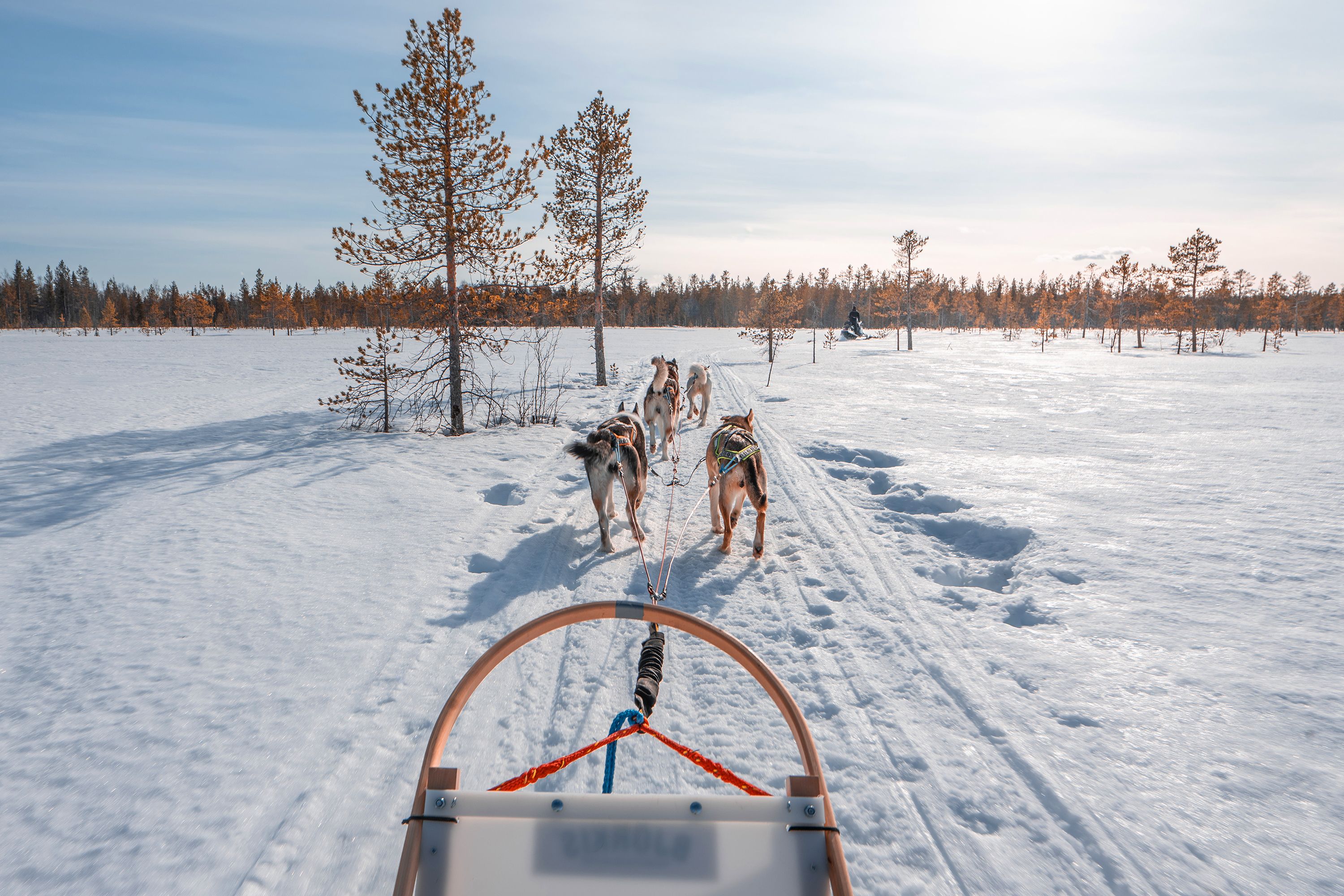 A snowy landscape with a sled being pulled by dogs.