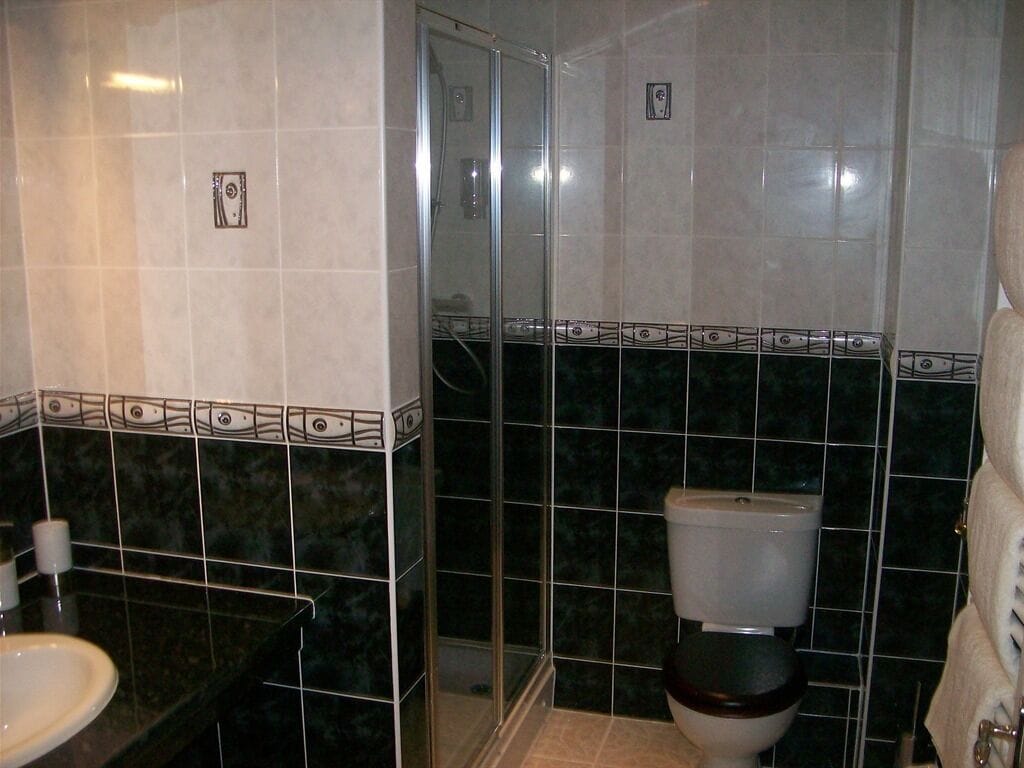 Een badkamer met een douche, toilet en wastafel.