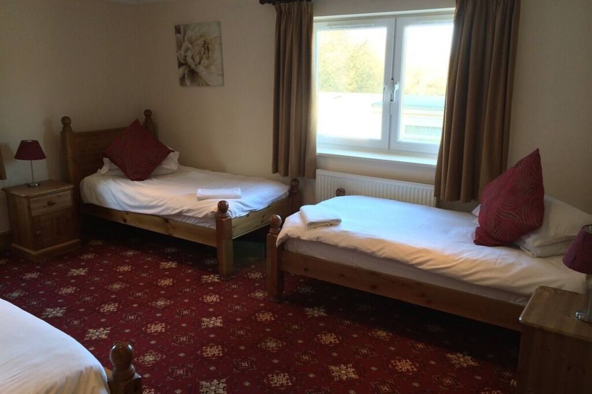 A room with two wooden beds, a red patterned carpet, a window with curtains, and a wall-mounted artwork.