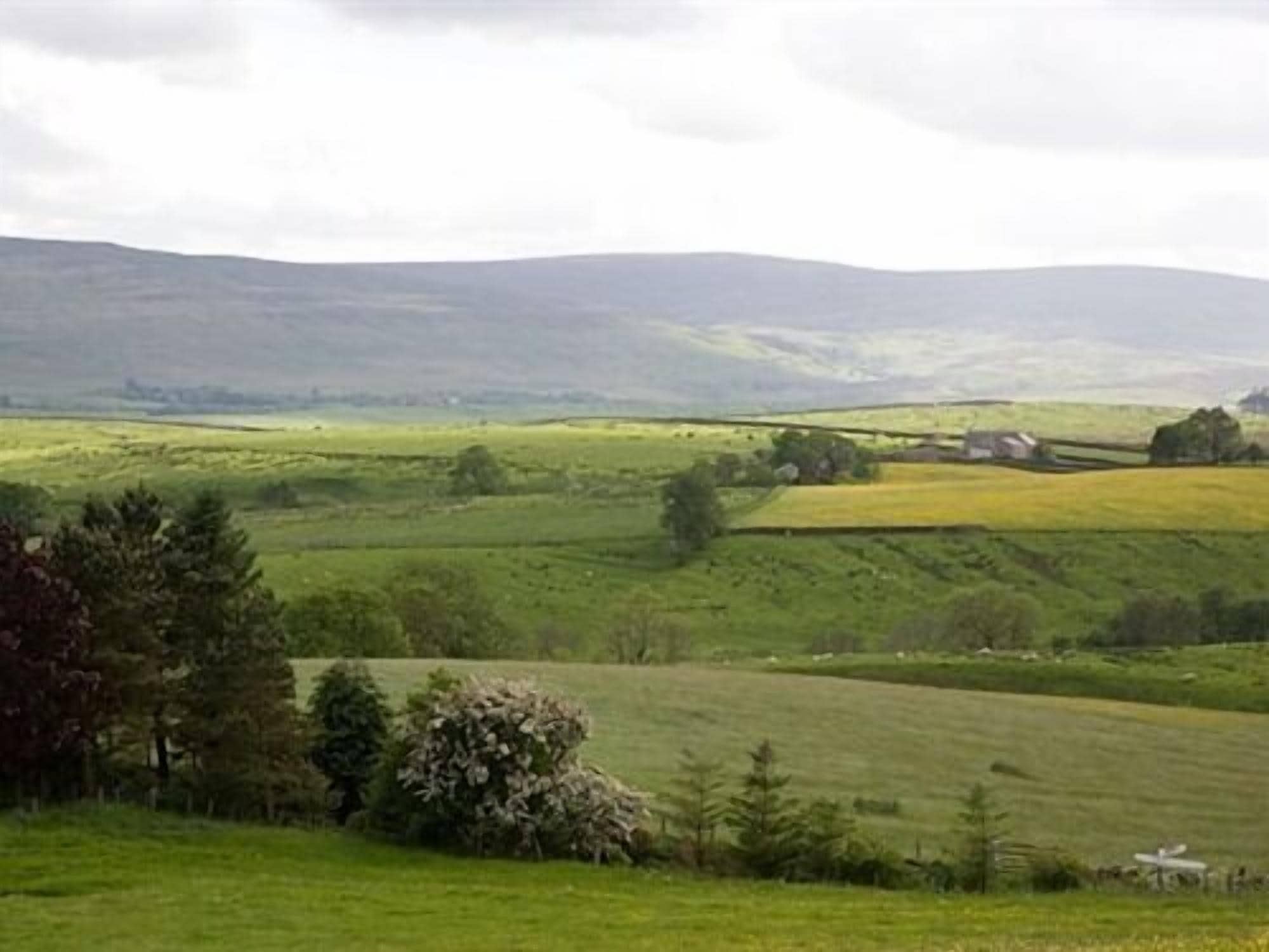 A rural landscape with rolling hills, a small house, and a sheep in the foreground.