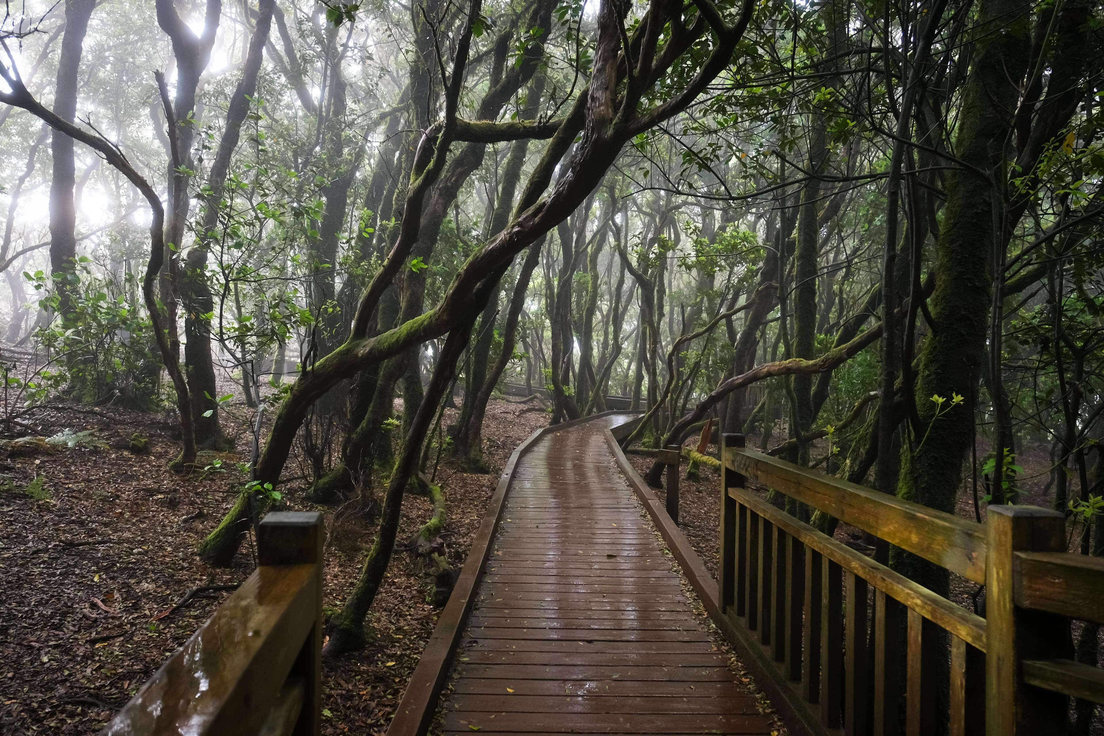 Foto - Landmar Costa los Gigantes Family Resort