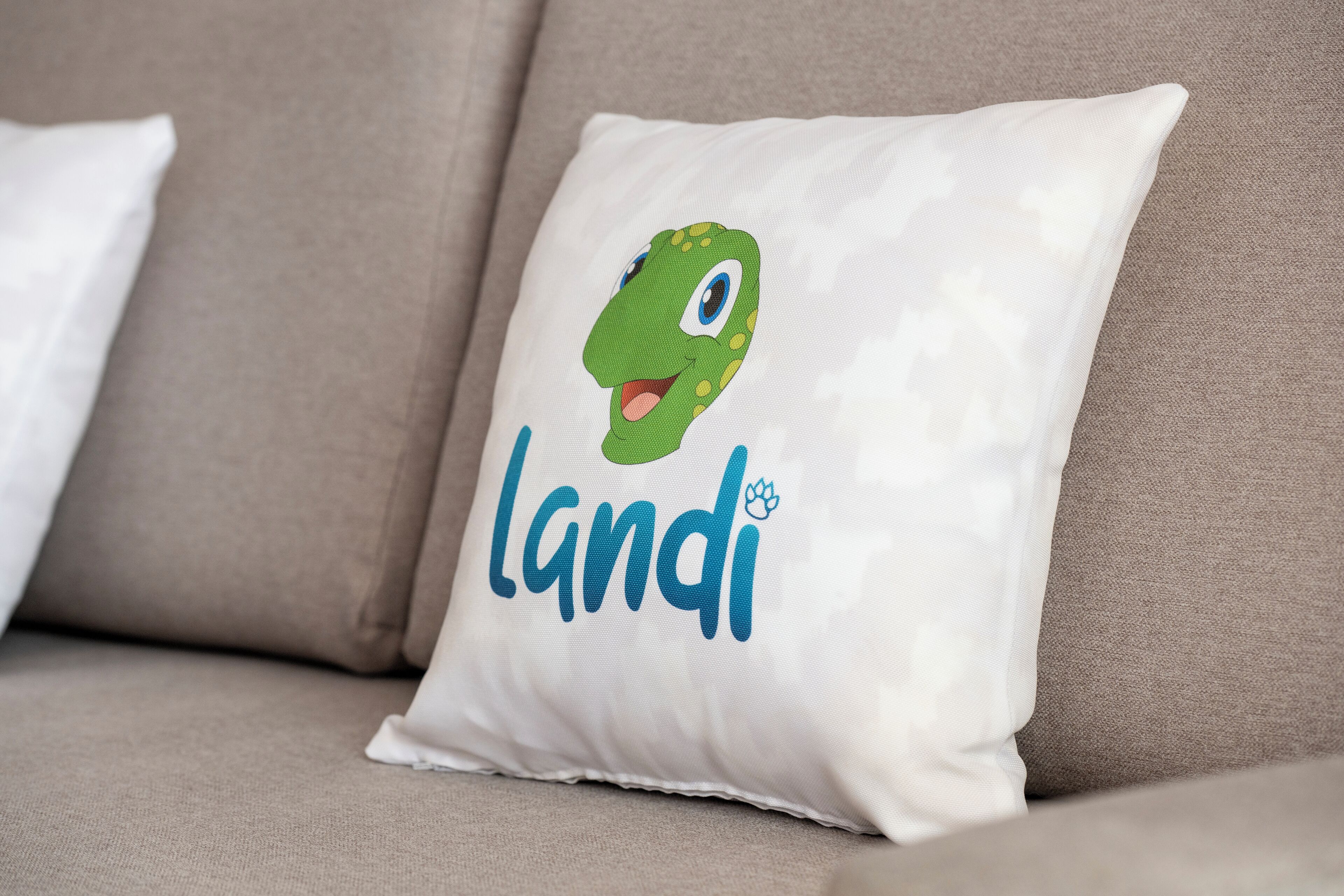 landi village | living area | 32-inch tv with satellite channels, table football, ping pong