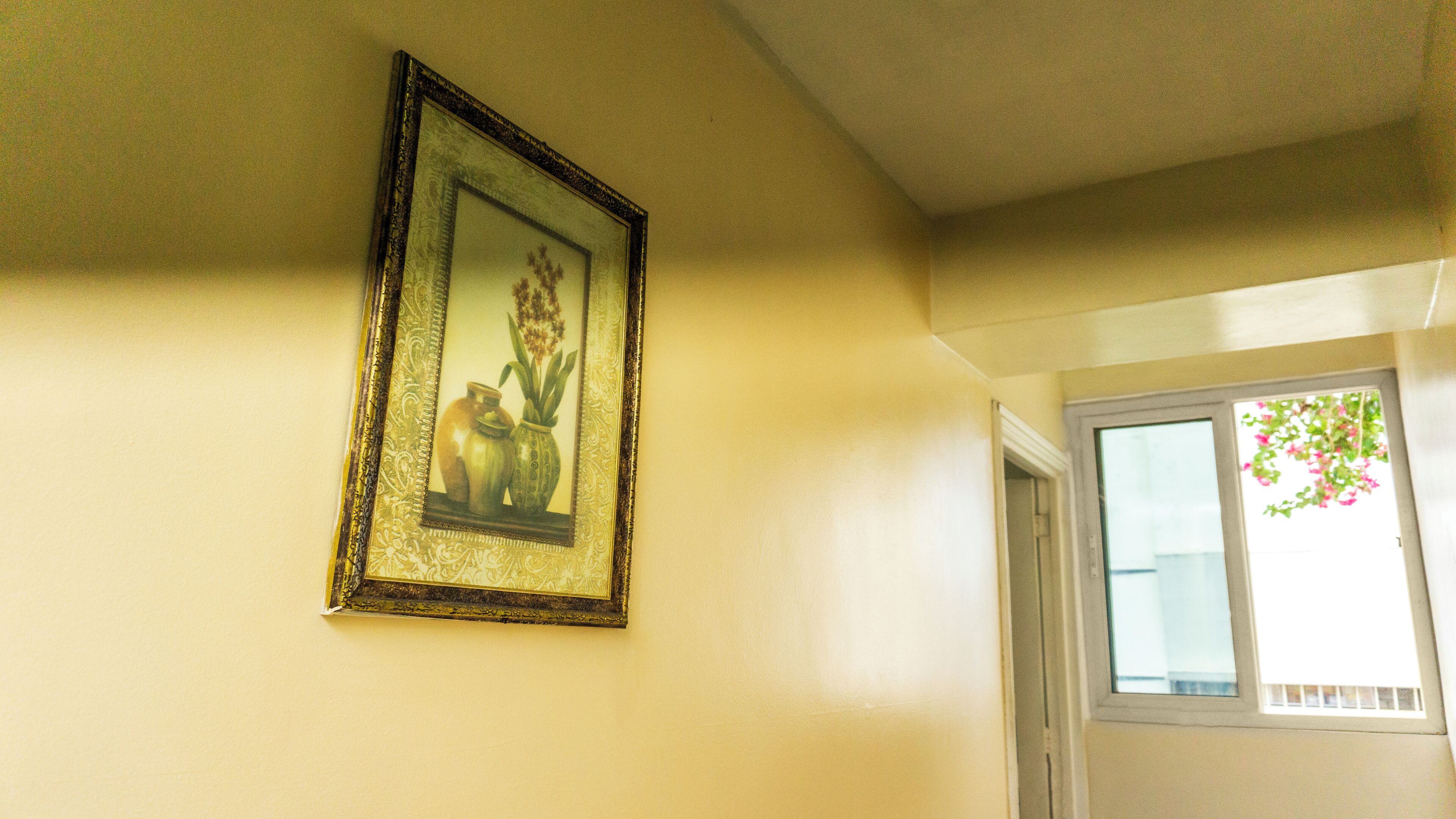 Foto - Benidorm Panama