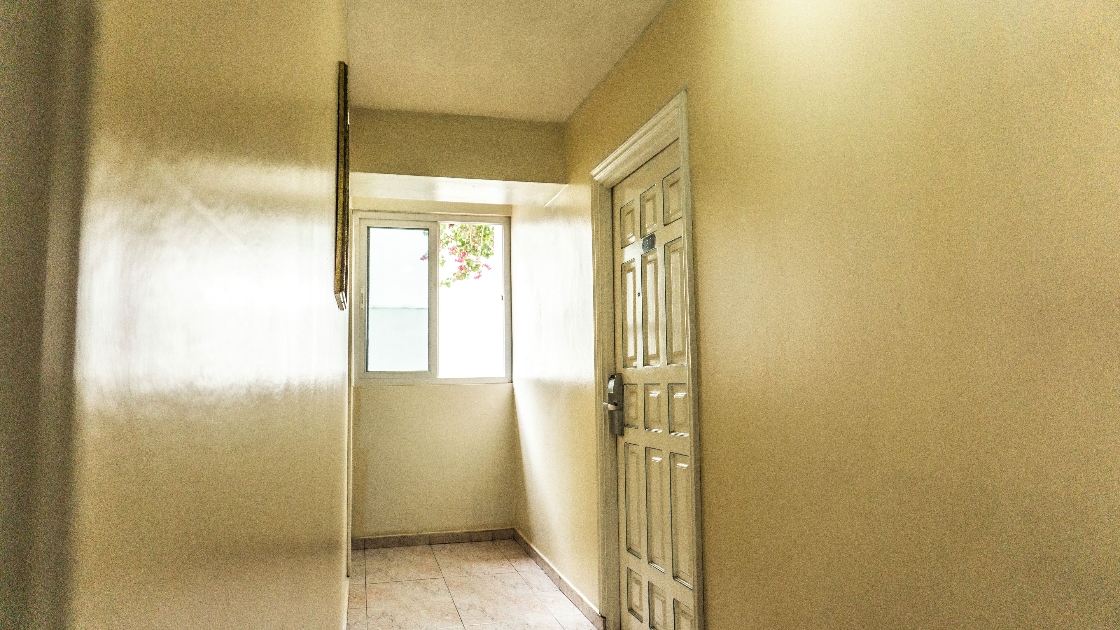 Foto - Benidorm Panama