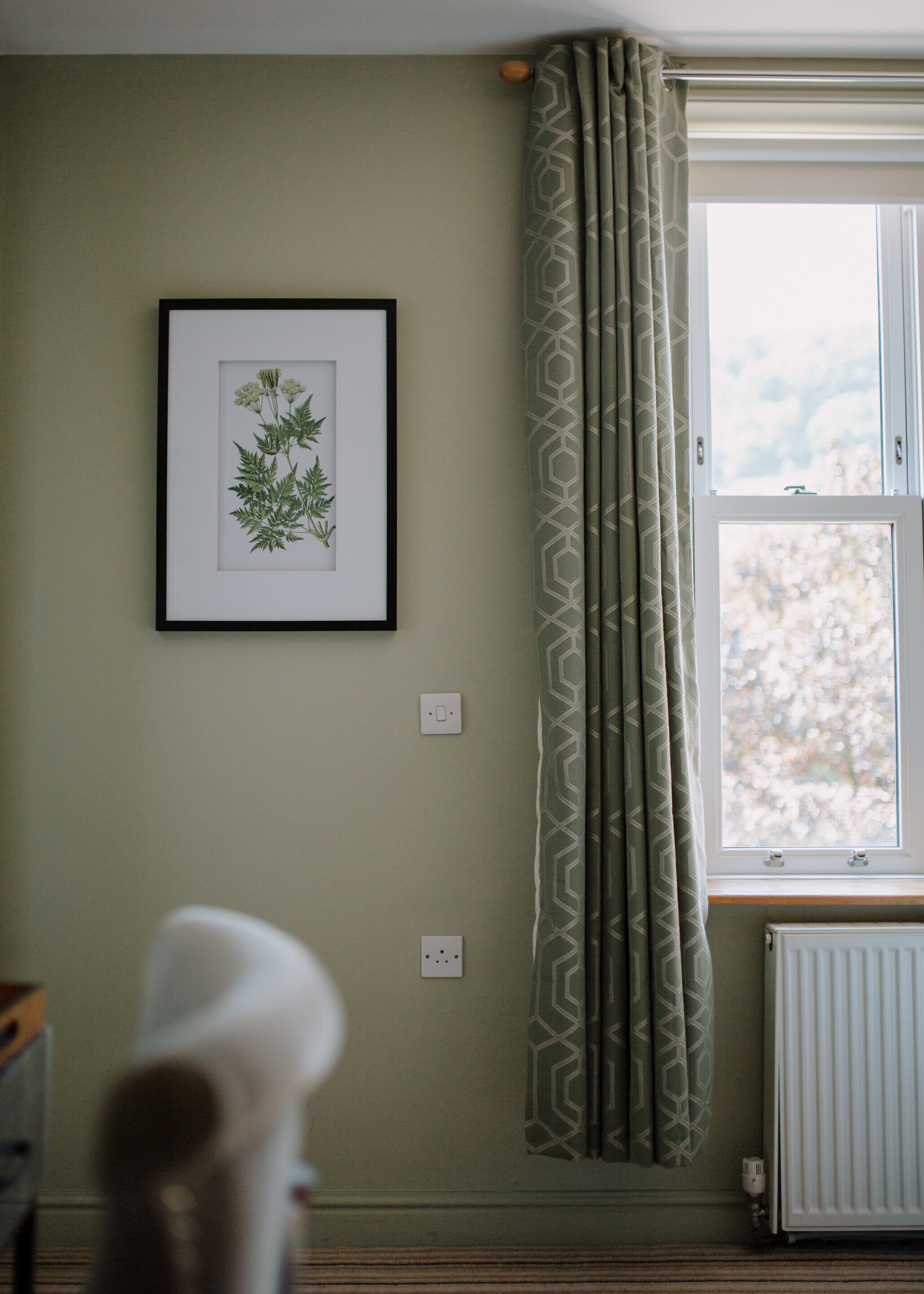 A room with a framed botanical print on the wall, a window with patterned curtains, and a radiator below.