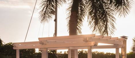 A hot tub with a wooden pergola structure, surrounded by palm trees and a hedge.