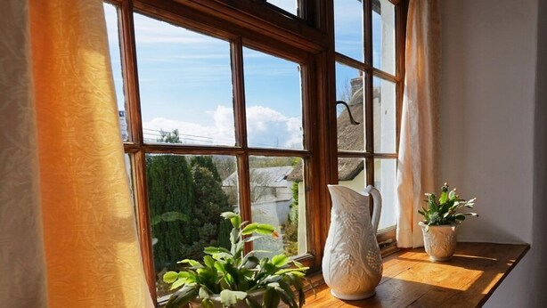 A window with a view of greenery and a stone wall, a wooden table with a potted plant and a white pitcher.