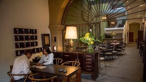 Un espace repas comprenant une longue table, des chaises, une lampe et une plante décorative.