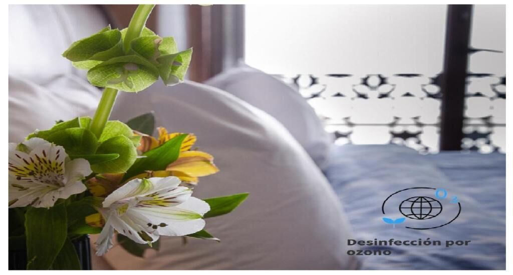 Foto - Casa Aspeytia Hotel Boutique