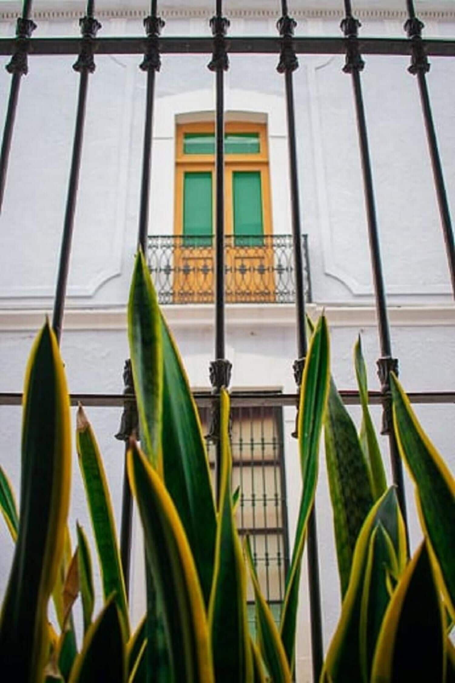 Foto - Casa Aspeytia Hotel Boutique