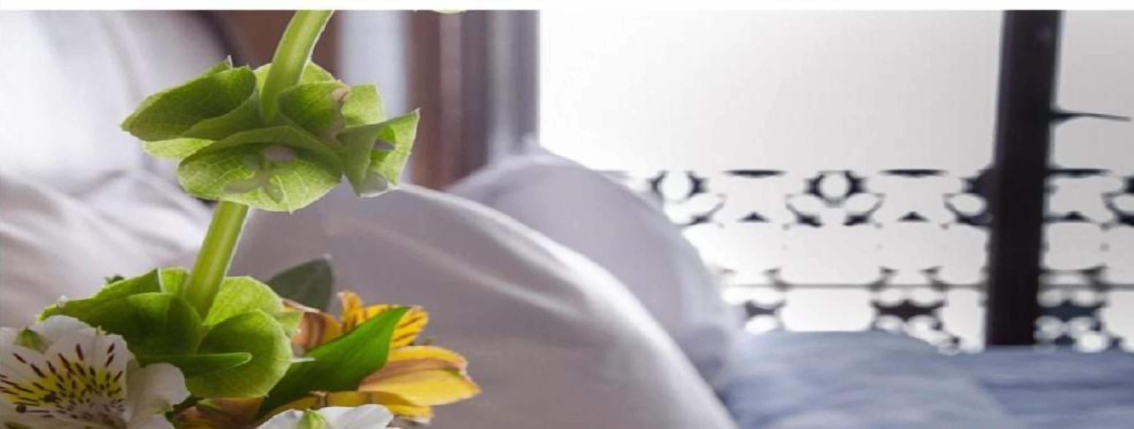 Photo - Casa Aspeytia Hotel Boutique