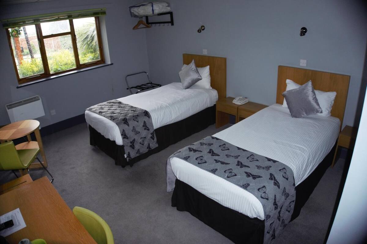A hotel room with two single beds, a desk, a chair, a small table, a radiator, and a window with a view of greenery.