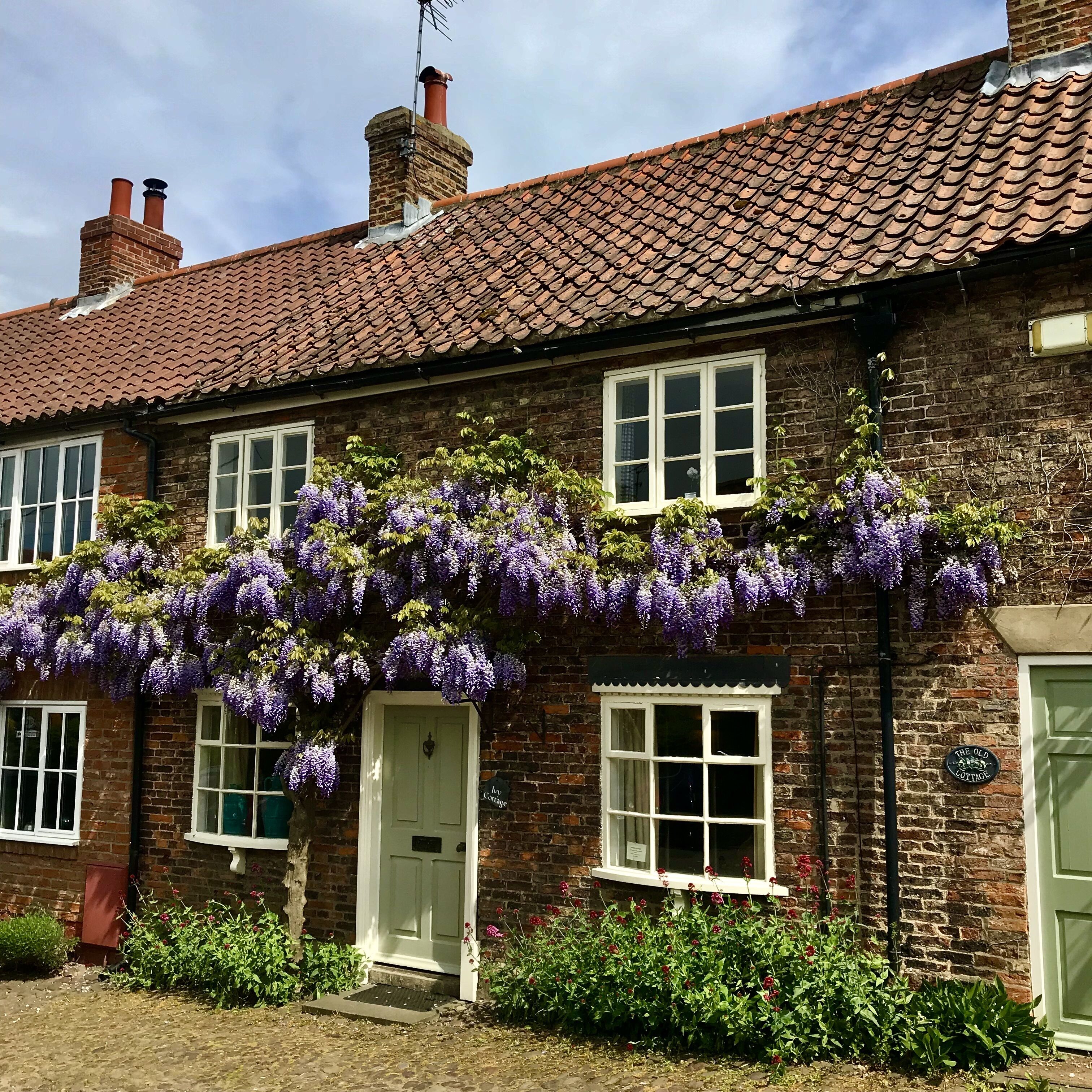 Casa de campo, banheiro privativo (Ivy  - Self Catering)