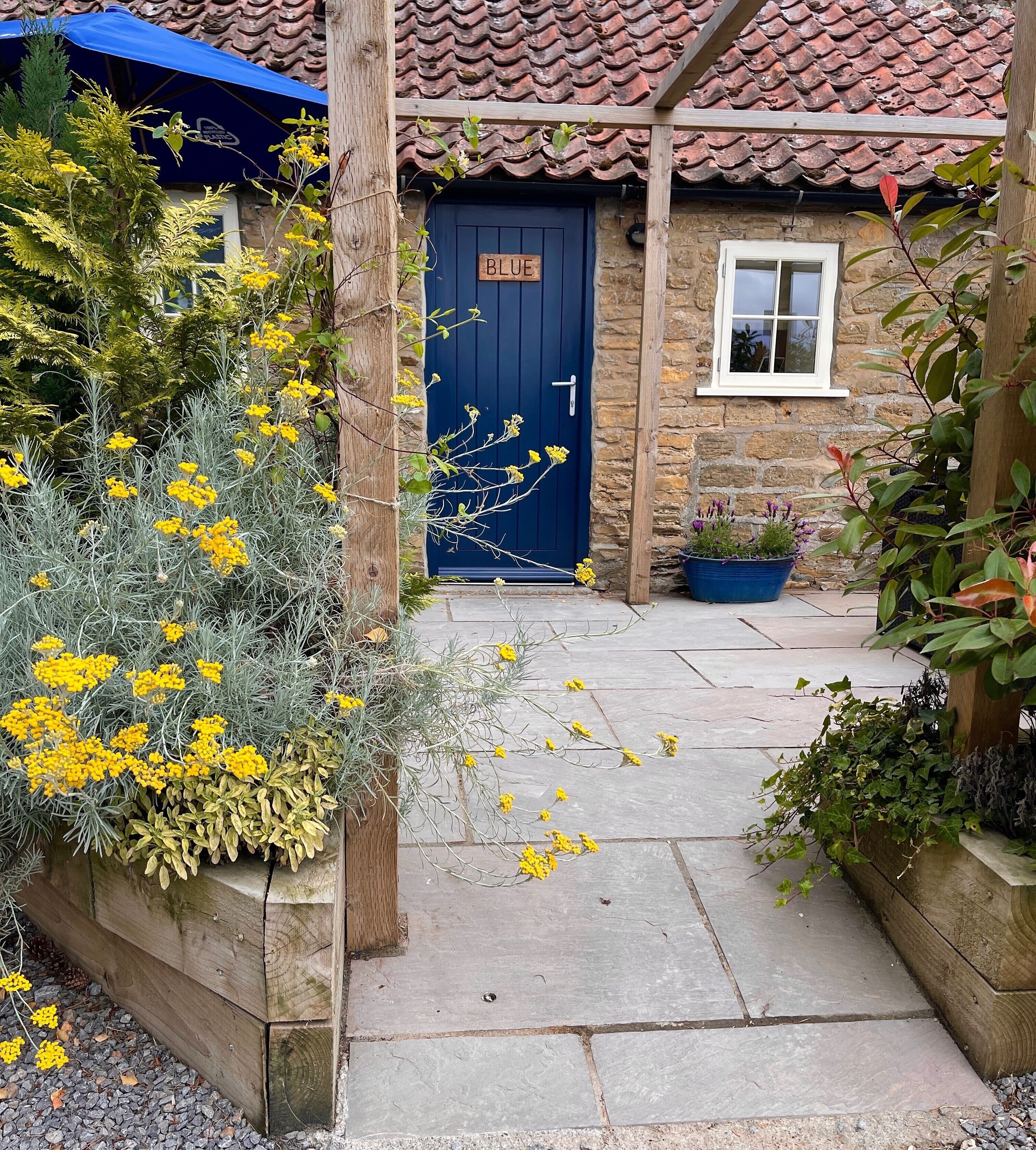 Foto - The Durham Ox