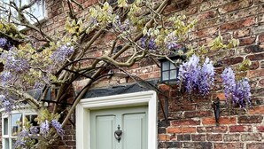 A traditional brick cottage with a white door, ivy, and purple flowers. - The Durham Ox (York)