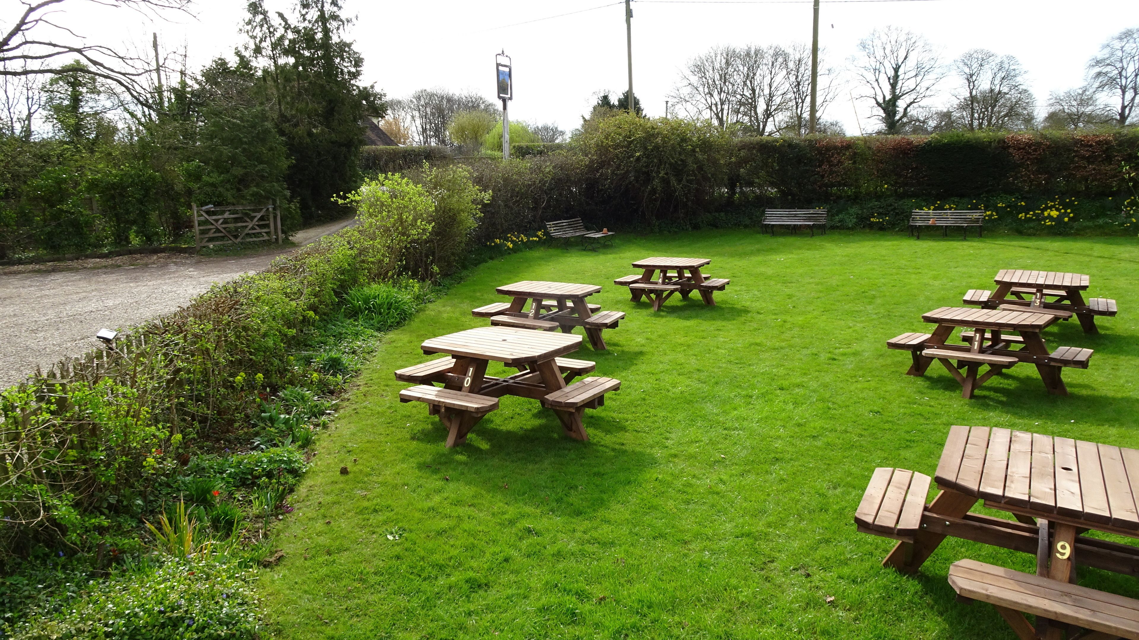 A grassy outdoor area with multiple picnic tables and benches.