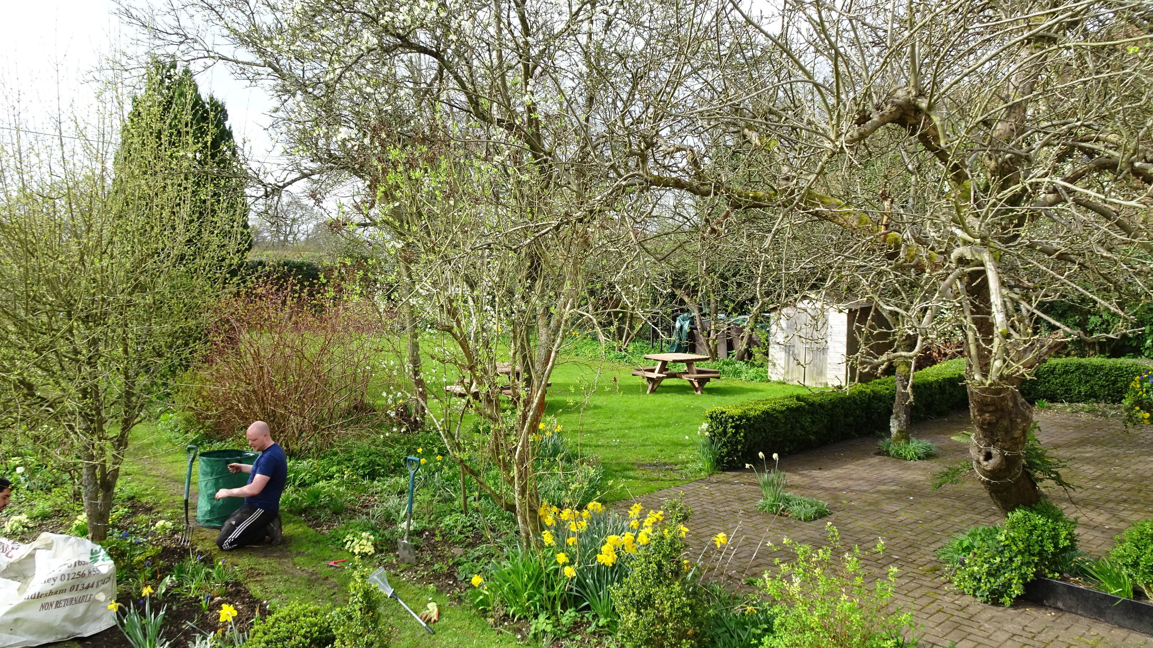 Garden