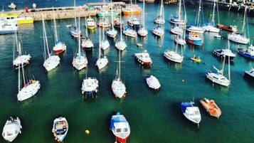 Un puerto deportivo con varias embarcaciones amarradas en aguas tranquilas, rodeado de colinas y vegetación.