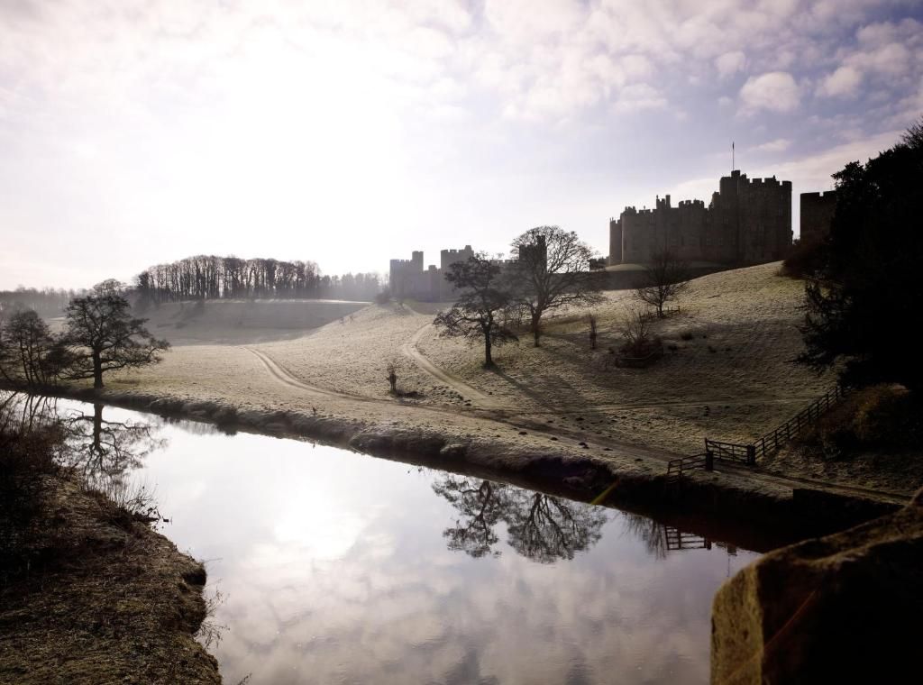 Un castillo en una colina con vista a una masa de agua tranquila, con un sendero que lleva a él.