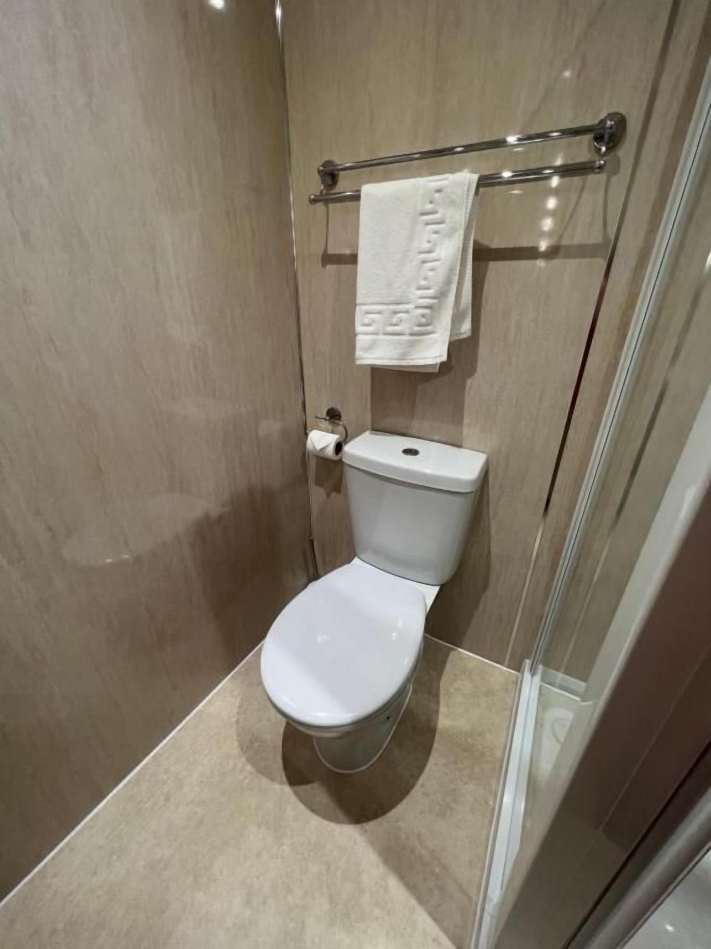 A modern bathroom with a toilet, a towel rack, and a glass shower enclosure.
