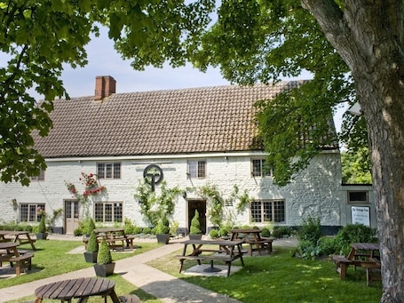 Exterior. The Orange Tree