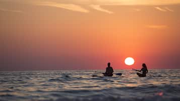 Kayak