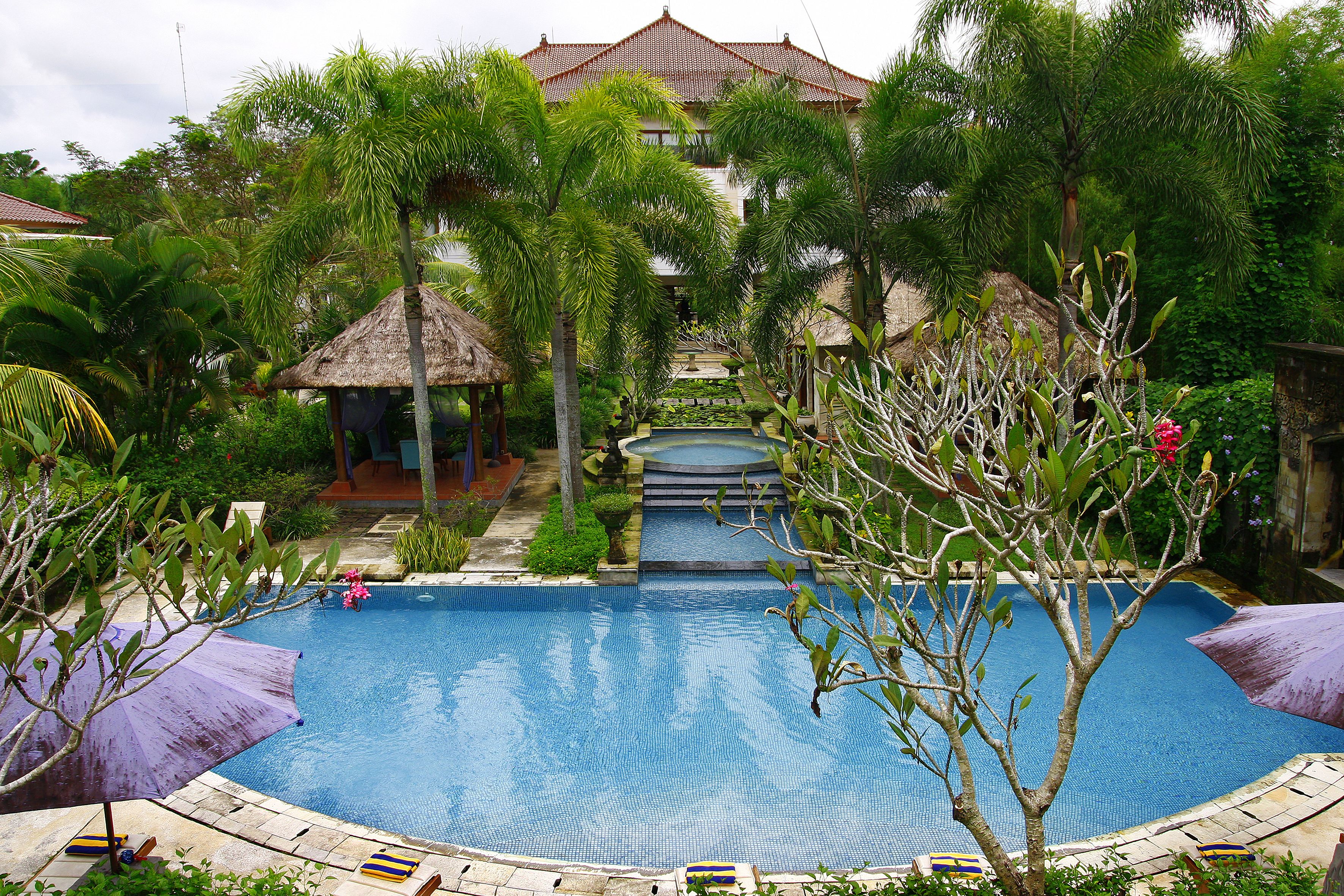 A swimming pool surrounded by lush greenery and a traditional building with a tiled roof.