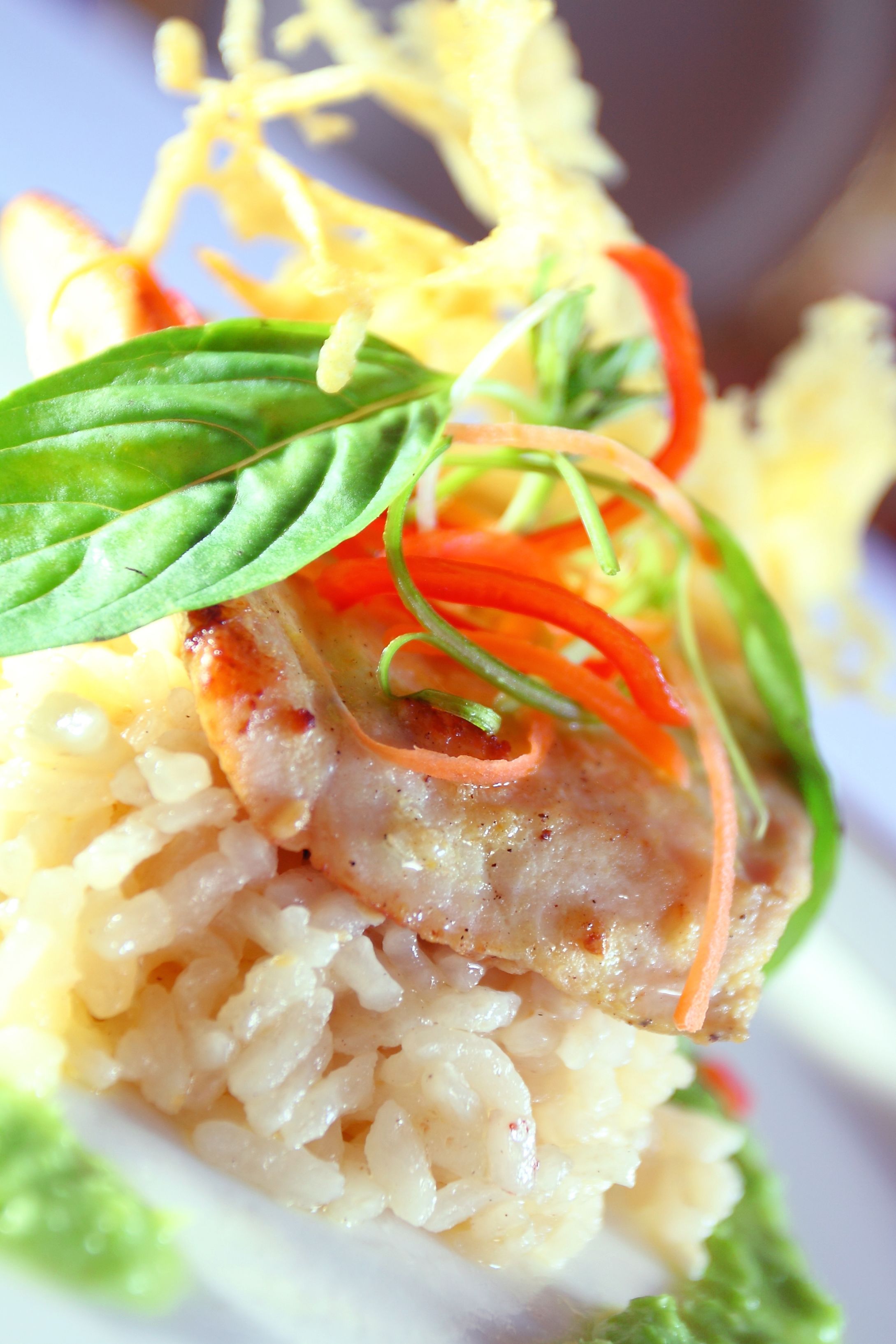 A close-up of a dish with rice, a piece of meat, and garnishes of carrot and basil.