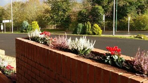 A landscaped area with a brick wall and various plants, including red flowers, in front of a road. - Swan Studios (Choppington)