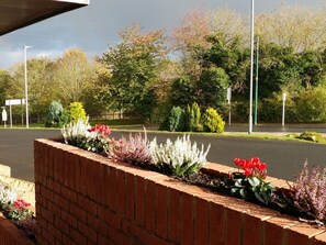 Estúdio, suíte (Double ) | Vista da propriedade