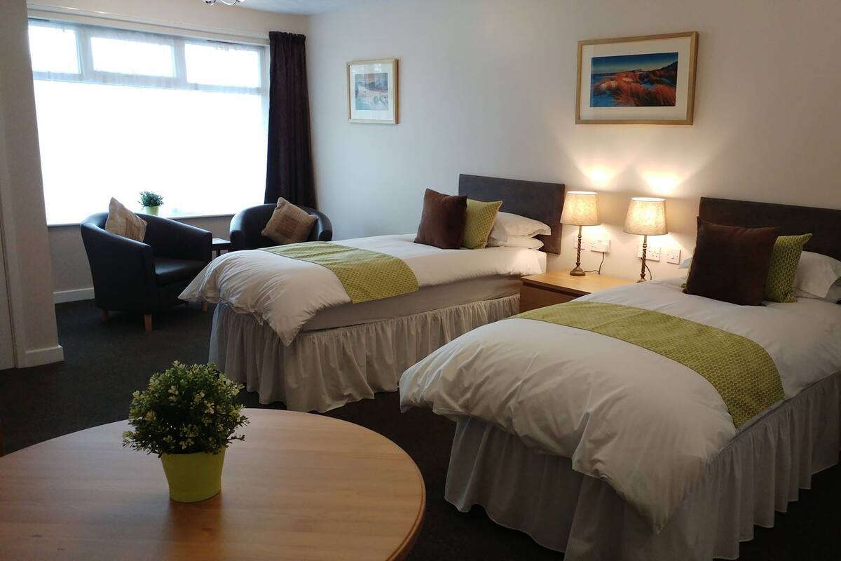 Une chambre d’hôtel avec deux lits, un bureau, une chaise, une plante en pot et un tableau au mur.