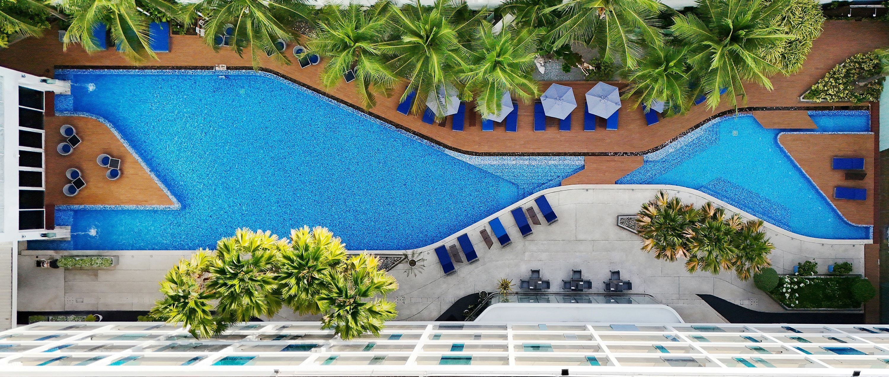 A large indoor swimming pool with multiple lanes, surrounded by palm trees and lounge chairs.