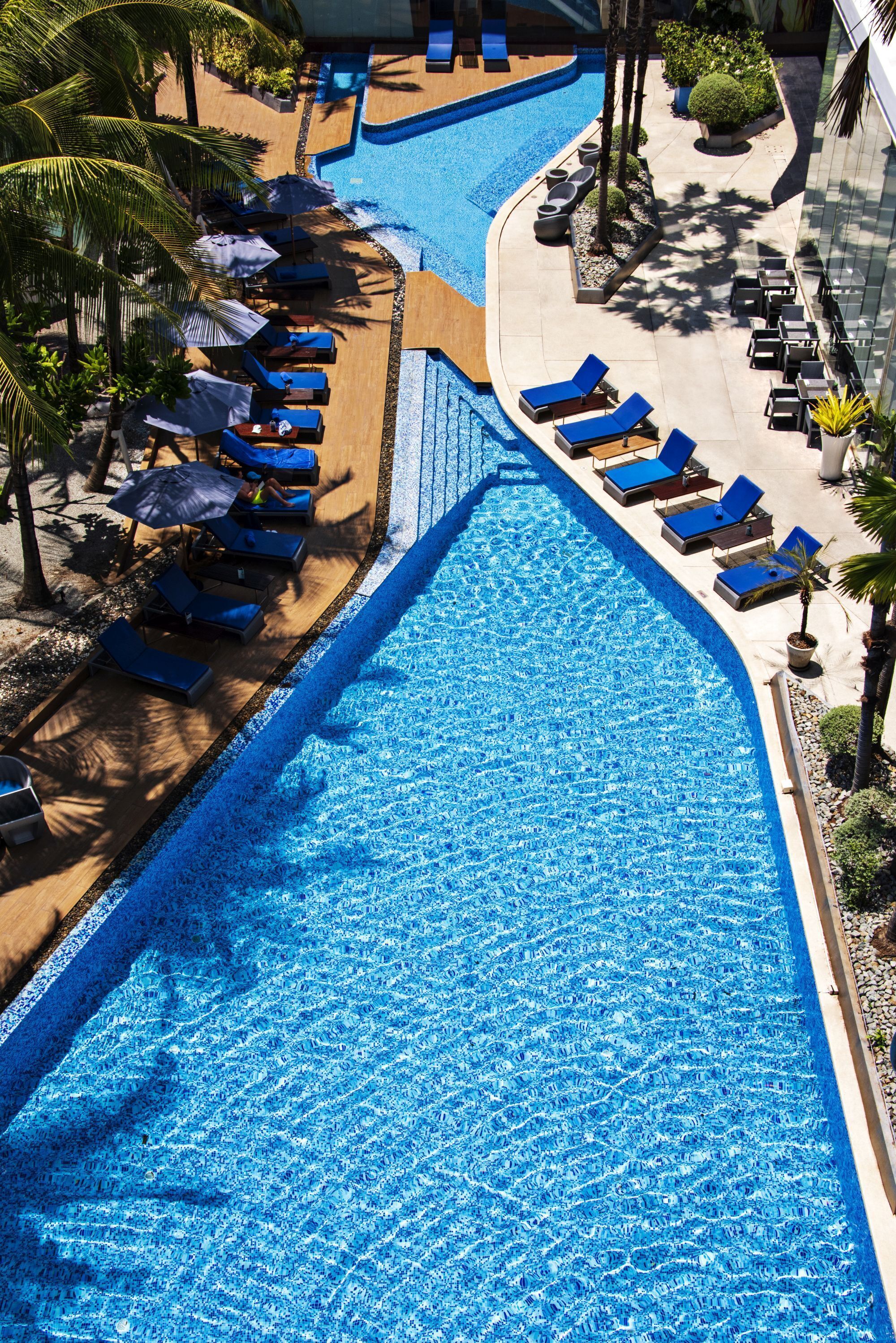 A large swimming pool with blue water, surrounded by lounge chairs and umbrellas, and palm trees.
