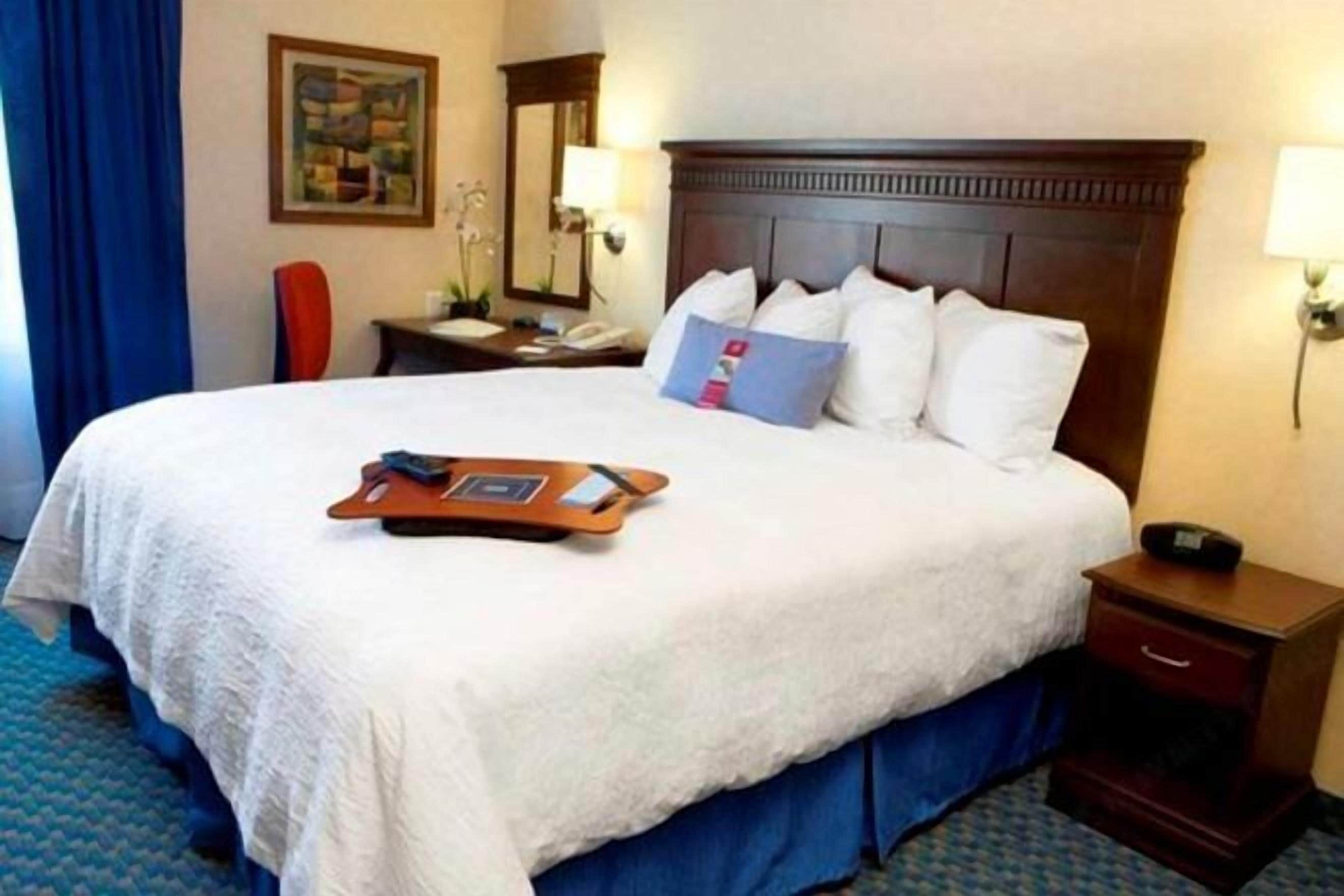 防敏寢具、書桌、遮光窗簾/窗簾、熨斗/熨衫板