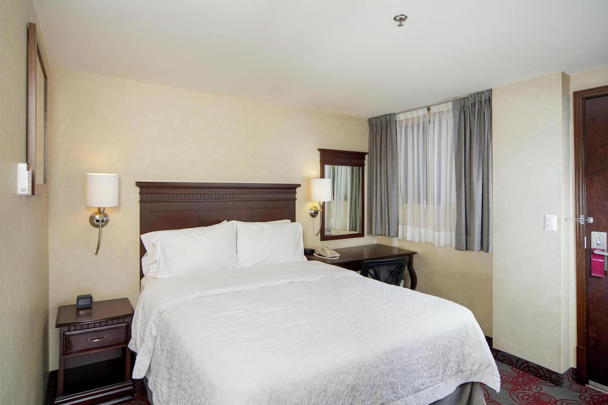 ルーム クイーンベッド 1 台 禁煙 (Interior) | 低刺激性寝具、デスク、遮光カーテン、アイロン / アイロン台